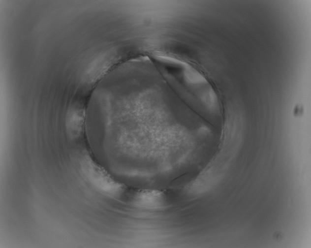 X0000113940576200910231946