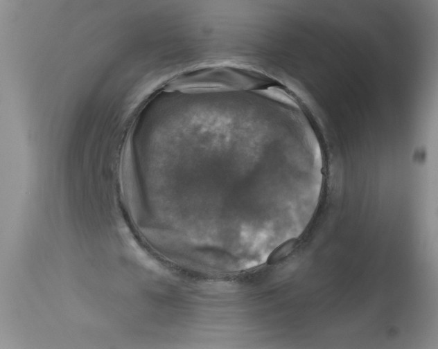 X0000113940577200910231946