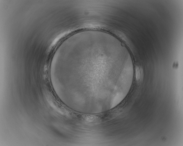 X0000113940579200910231946