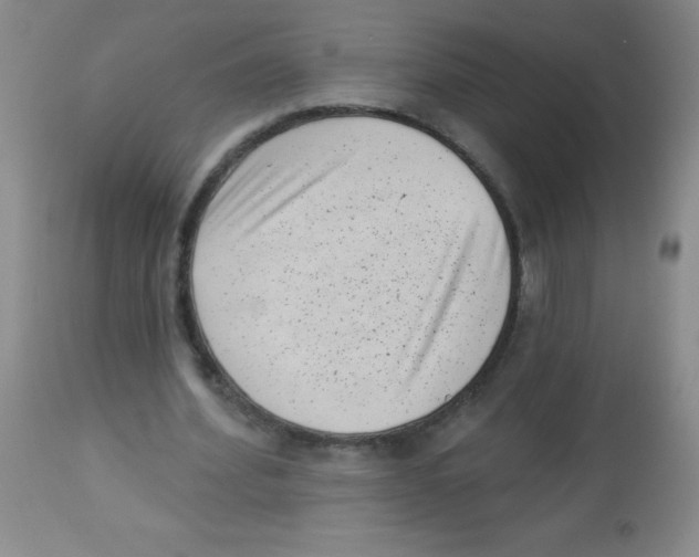 X0000113940580200910231946