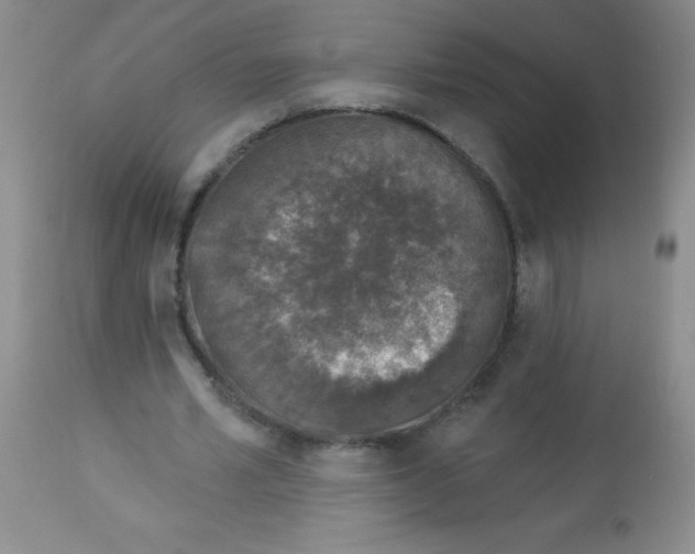 X0000113940581200910231945