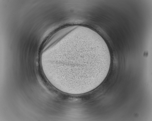 X0000113940582200910231945