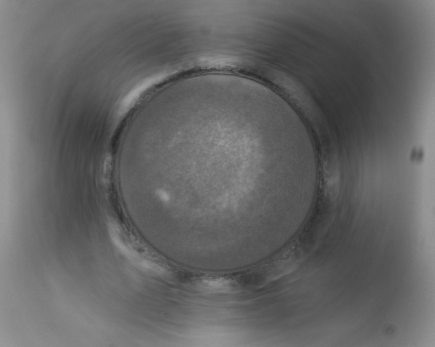 X0000113940583200910231945