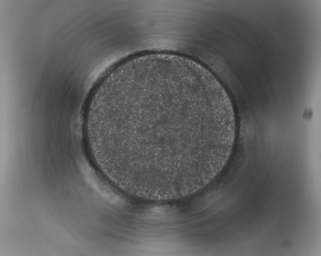 X0000113940584200910231945