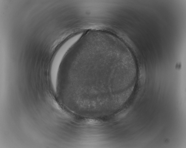 X0000113940585200910231945