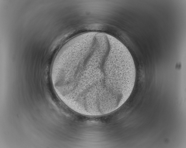 X0000113940586200910231945
