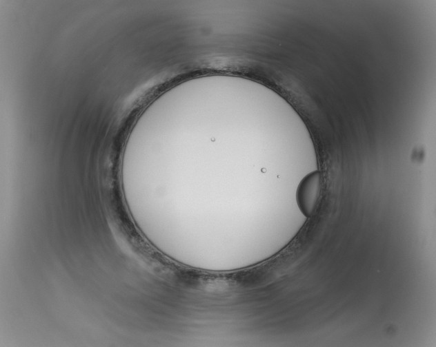 X0000113940587200910231945