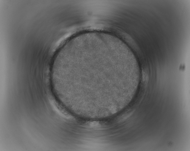 X0000113940588200910231945