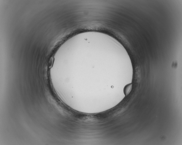 X0000113940589200910231945
