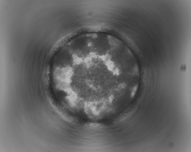 X0000113940590200910231945