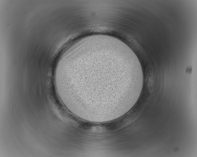 X0000113940591200910231945