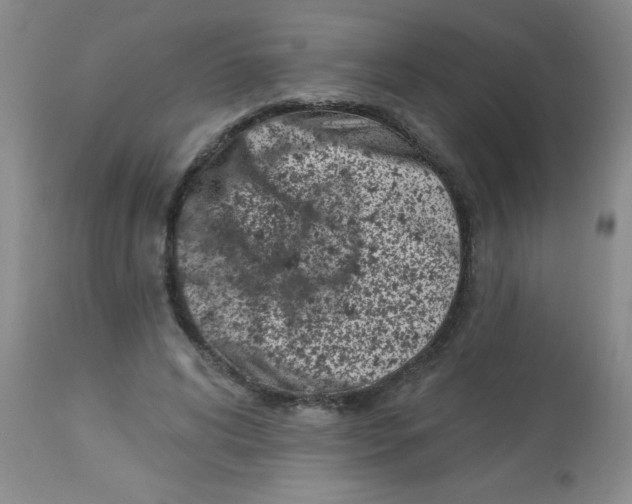 X0000113940592200910231945