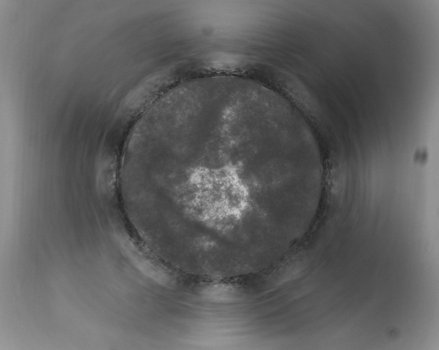 X0000113940593200910231945