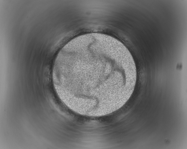 X0000113940594200910231945