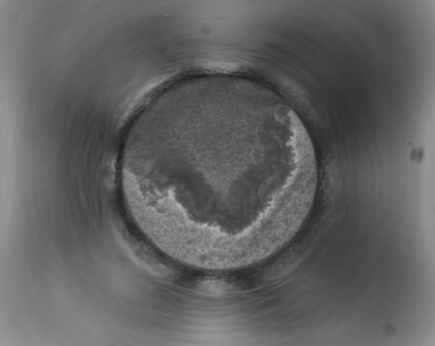 X0000113940596200910231945