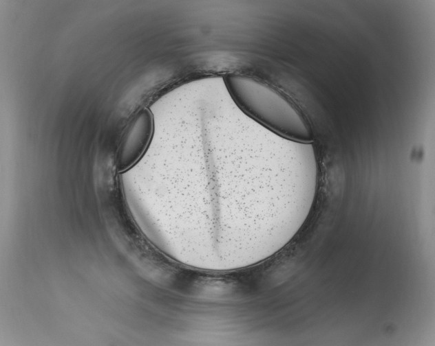 X0000113940597200910231945