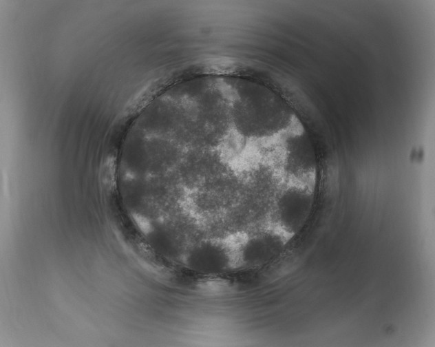 X0000113940598200910231945