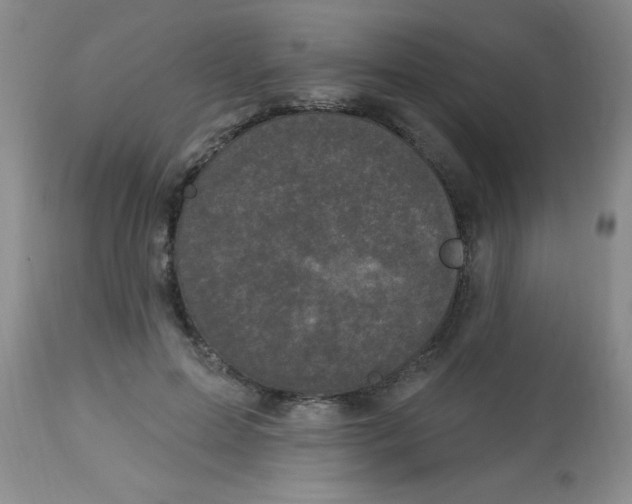 X0000113940599200910231945