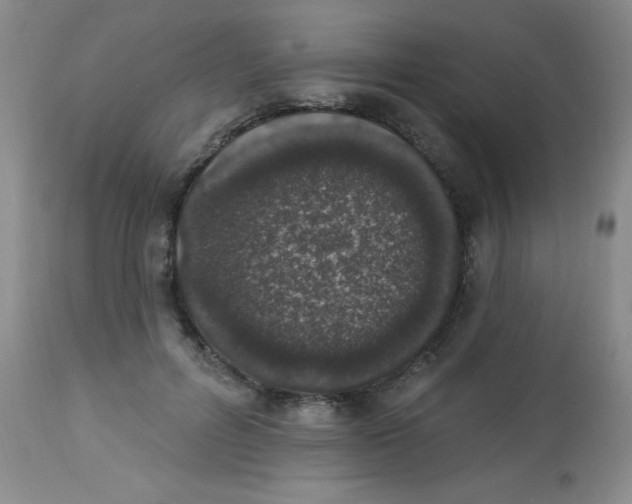 X0000113940600200910231945