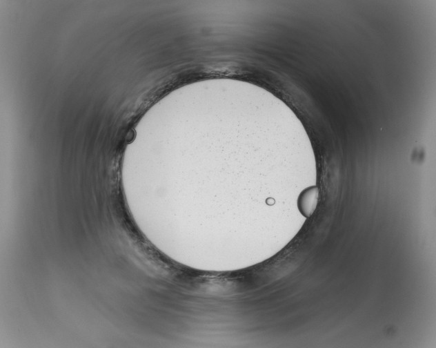 X0000113940601200910231945