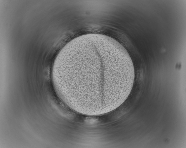 X0000113940602200910231945