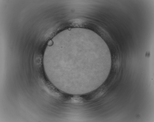 X0000113940603200910231945