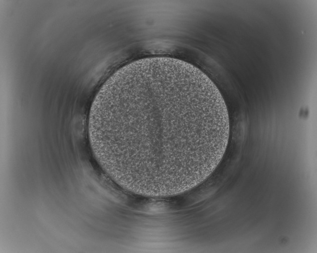 X0000113940604200910231945
