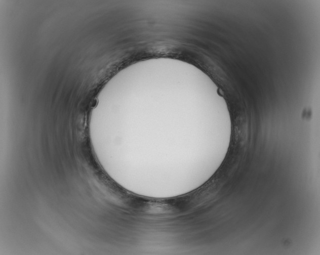 X0000113940605200910231945