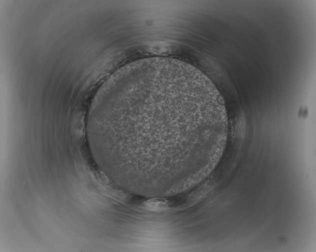 X0000113940606200910231945