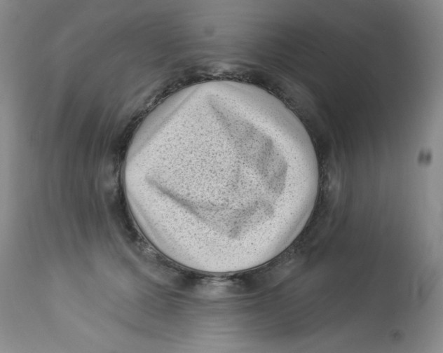 X0000113940607200910231945