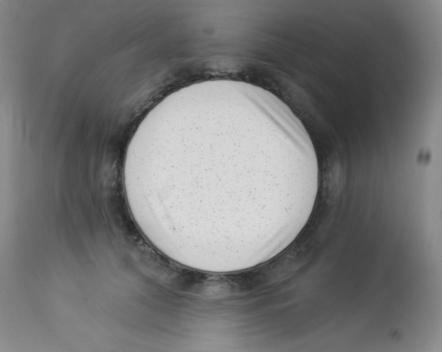 X0000113940608200910231945