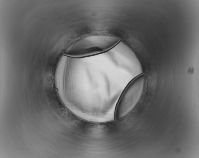 X0000113940609200910231945