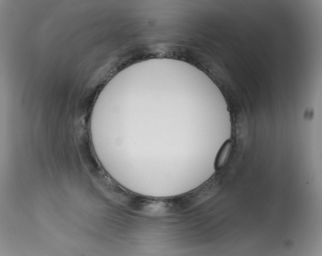 X0000113940611200910231945