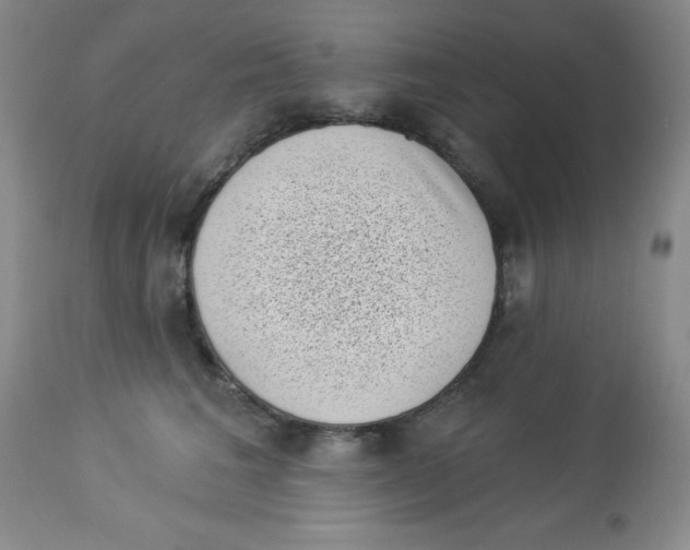 X0000113940613200910231945
