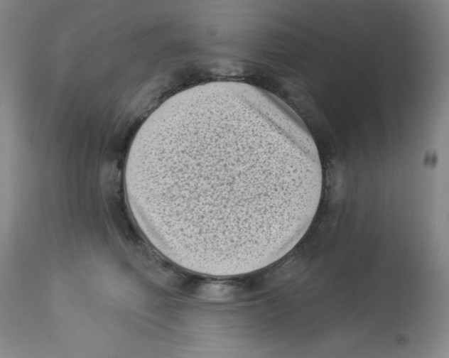 X0000113940614200910231945