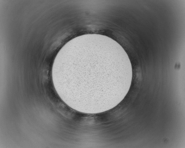 X0000113940615200910231945