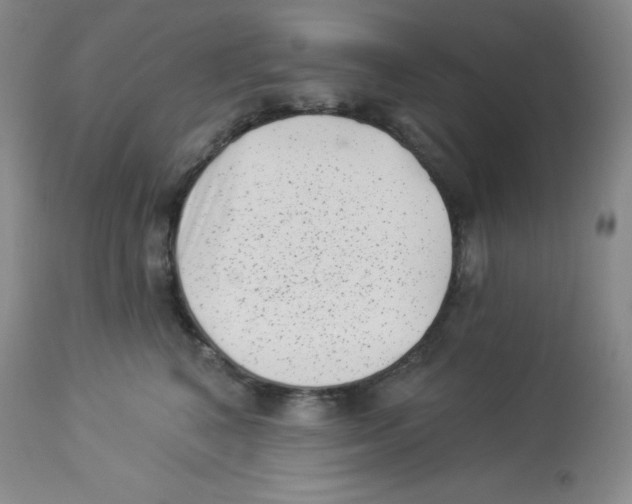X0000113940616200910231945