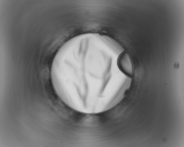 X0000113940617200910231945