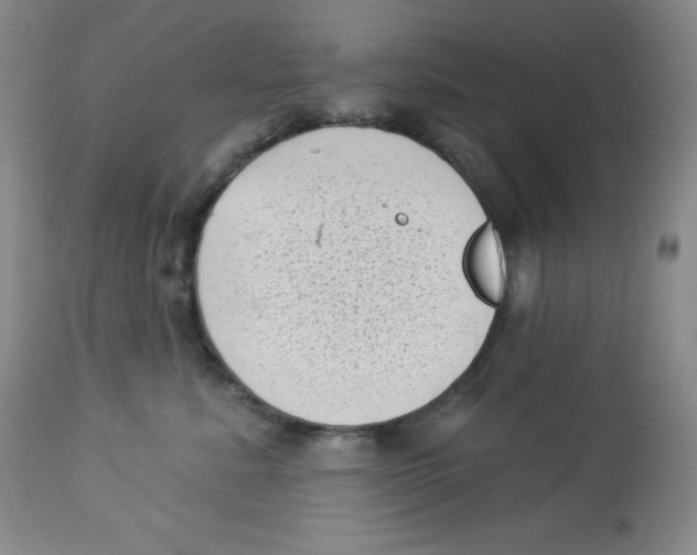 X0000113940619200910231945