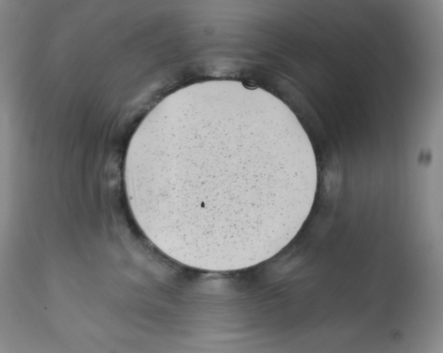 X0000113940620200910231945