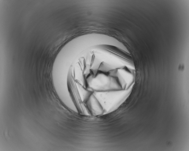 X0000113940621200910231945