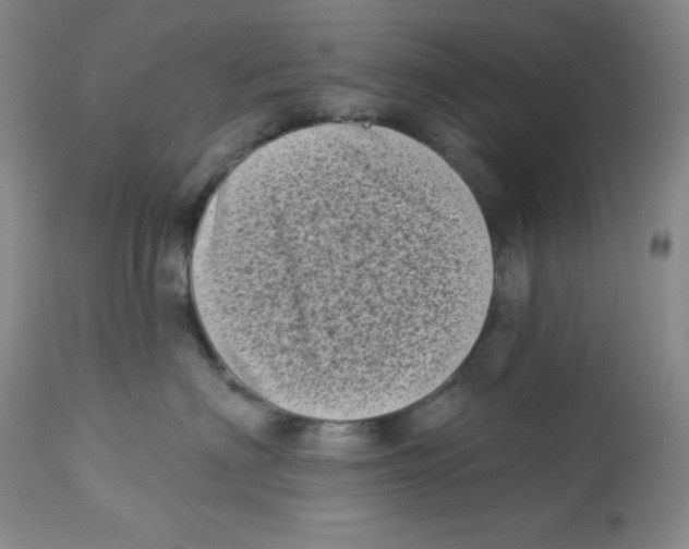 X0000113940622200910231945