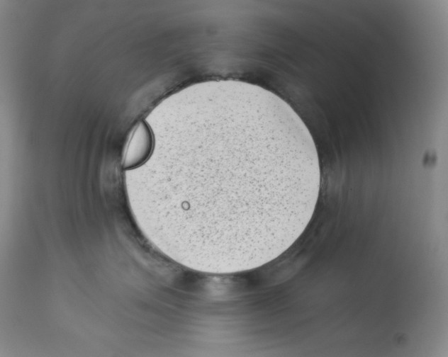 X0000113940623200910231945