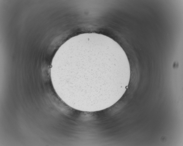 X0000113940624200910231945