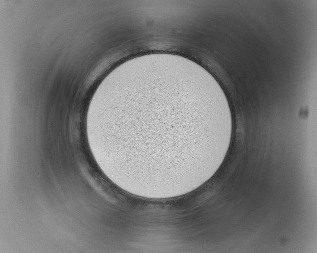 X0000113940626200910231944