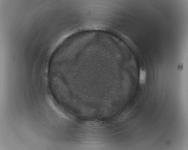 X0000113940627200910231944
