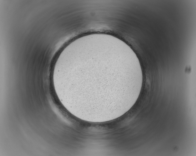 X0000113940630200910231944