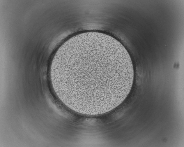 X0000113940631200910231944