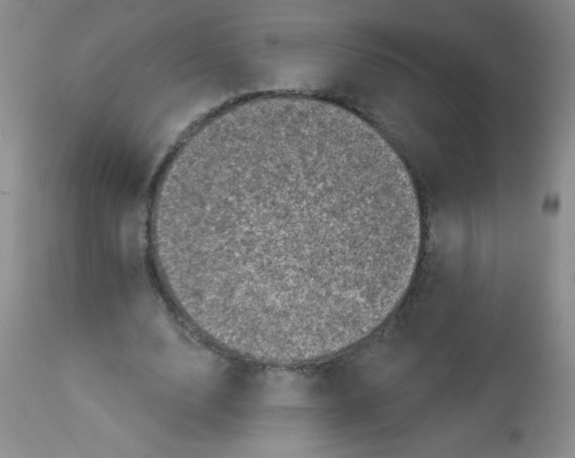 X0000113940632200910231944