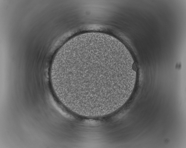 X0000113940633200910231944